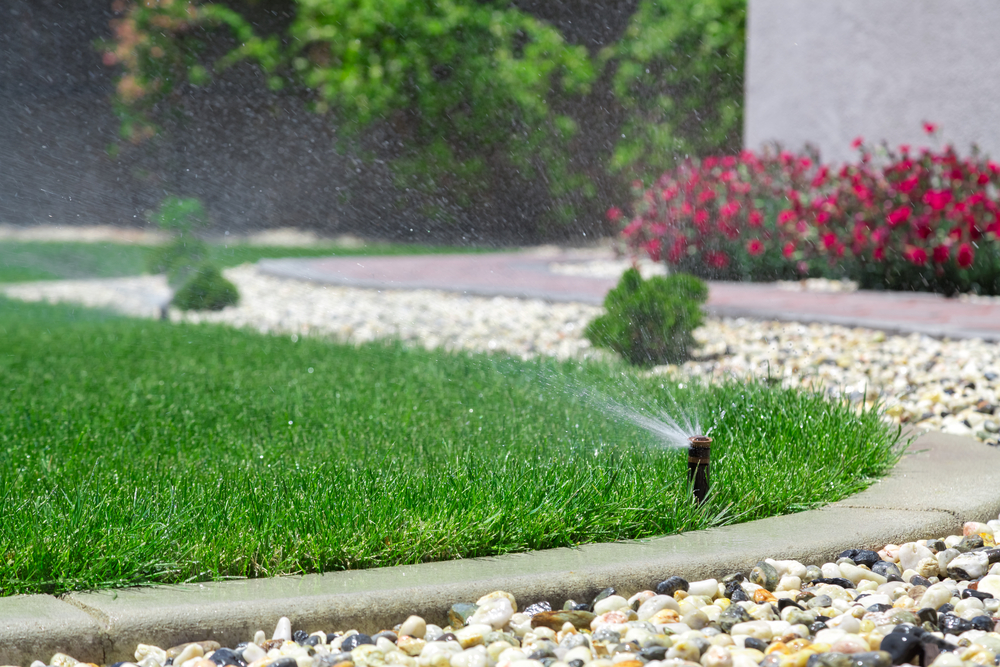 Landscape Irrigation and Drainage Systems
