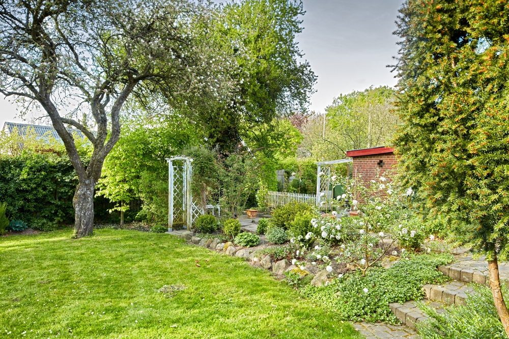 Landscape Design and Build